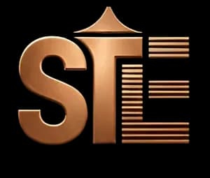 STE Logo